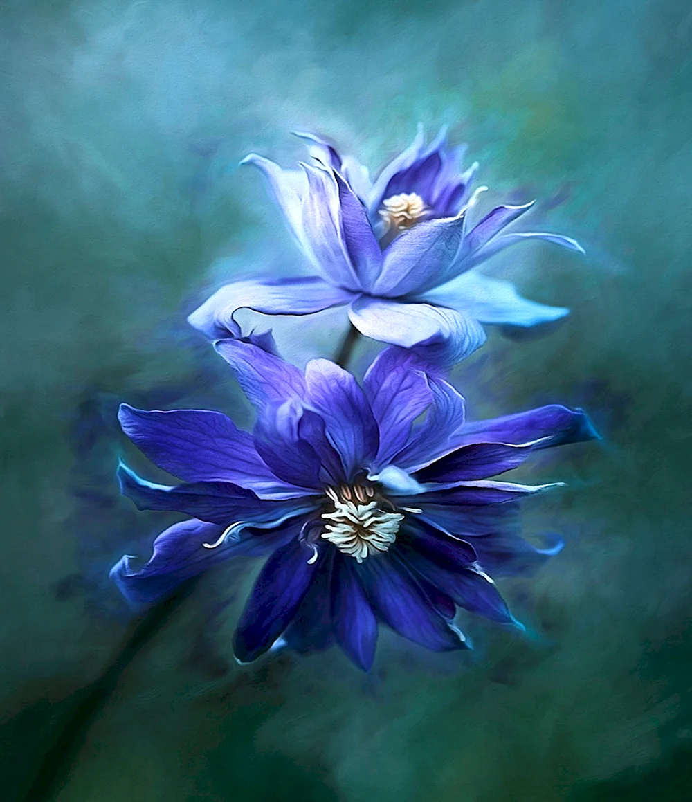 Голубые цветы арт