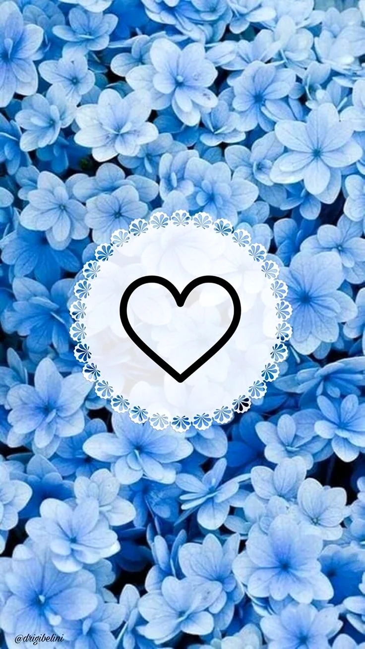 Голубые цветы фон