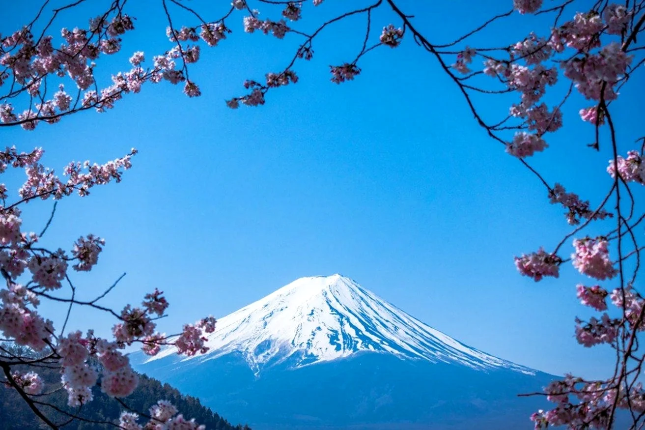 Гора Фудзияма в Японии