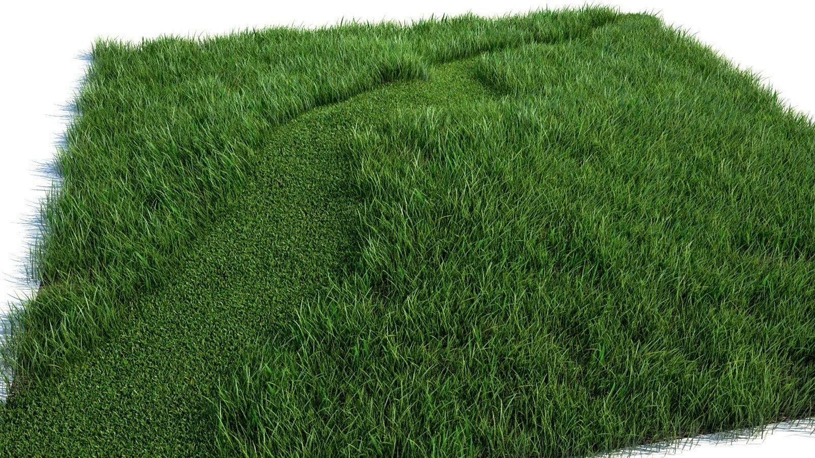 Grass 3ds Max