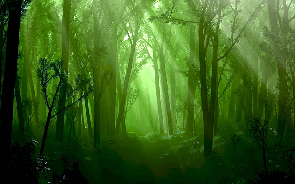 Грин таинственный лес