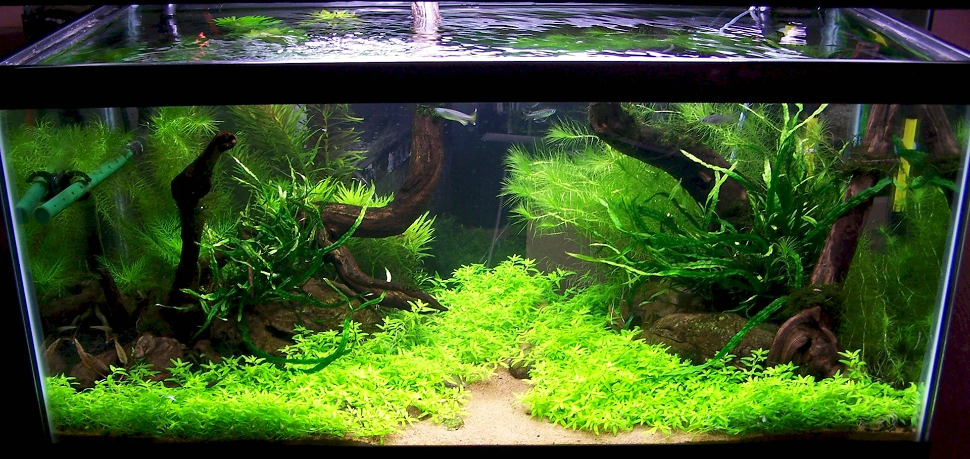 Грунт в аквариум для растений