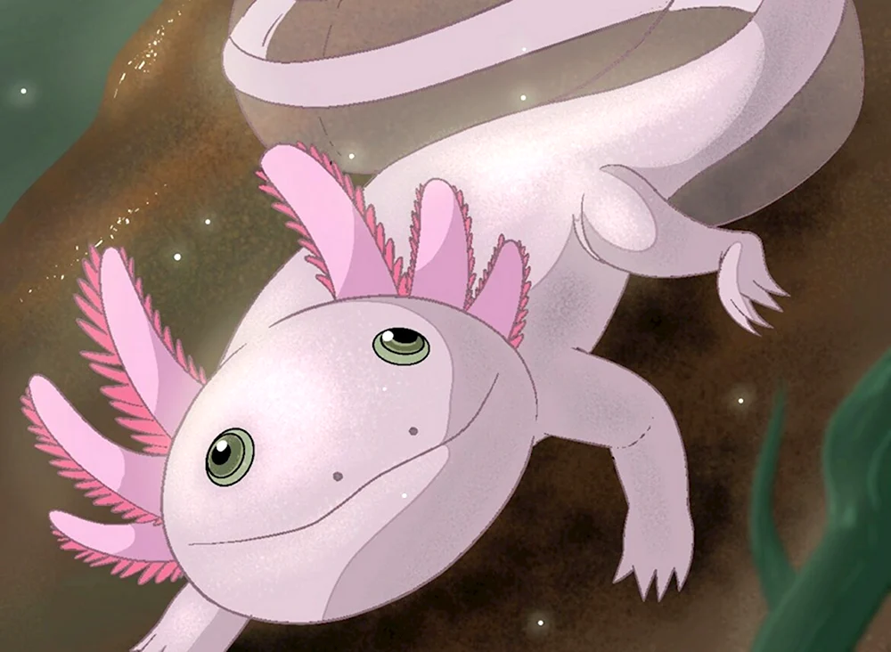 How to draw an Axolotls Mane
