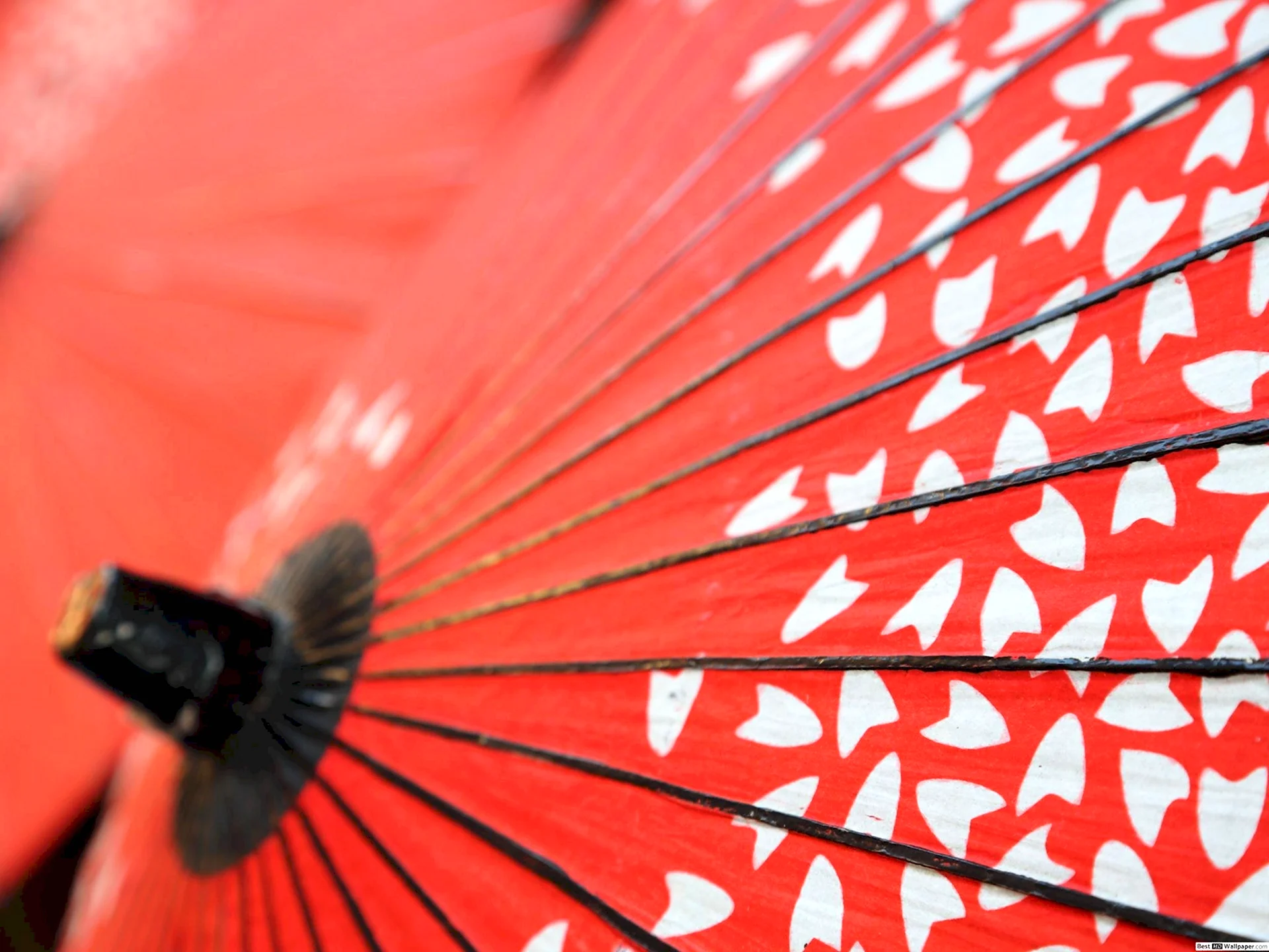 Японский красный зонтик