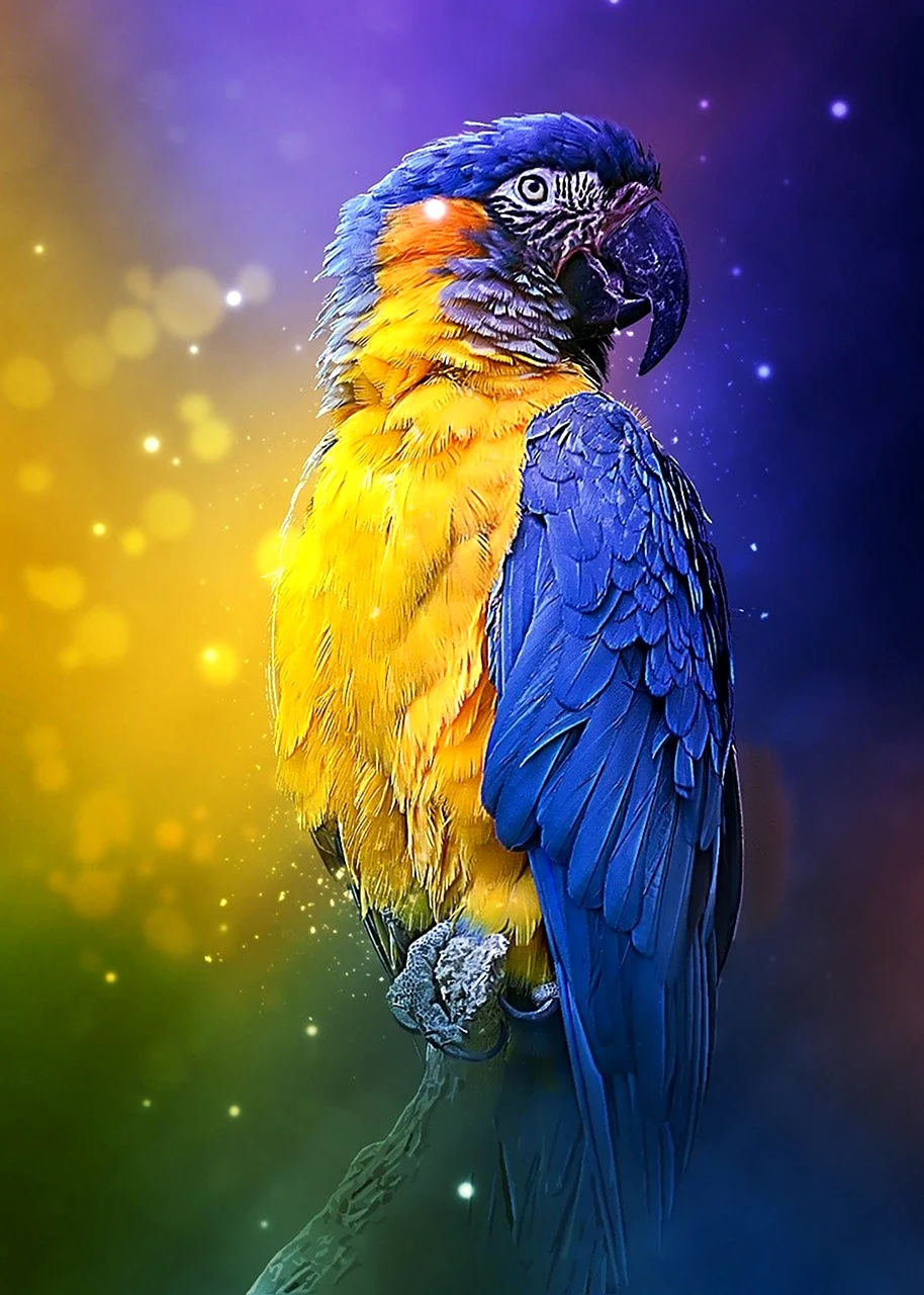 Яркий попугай
