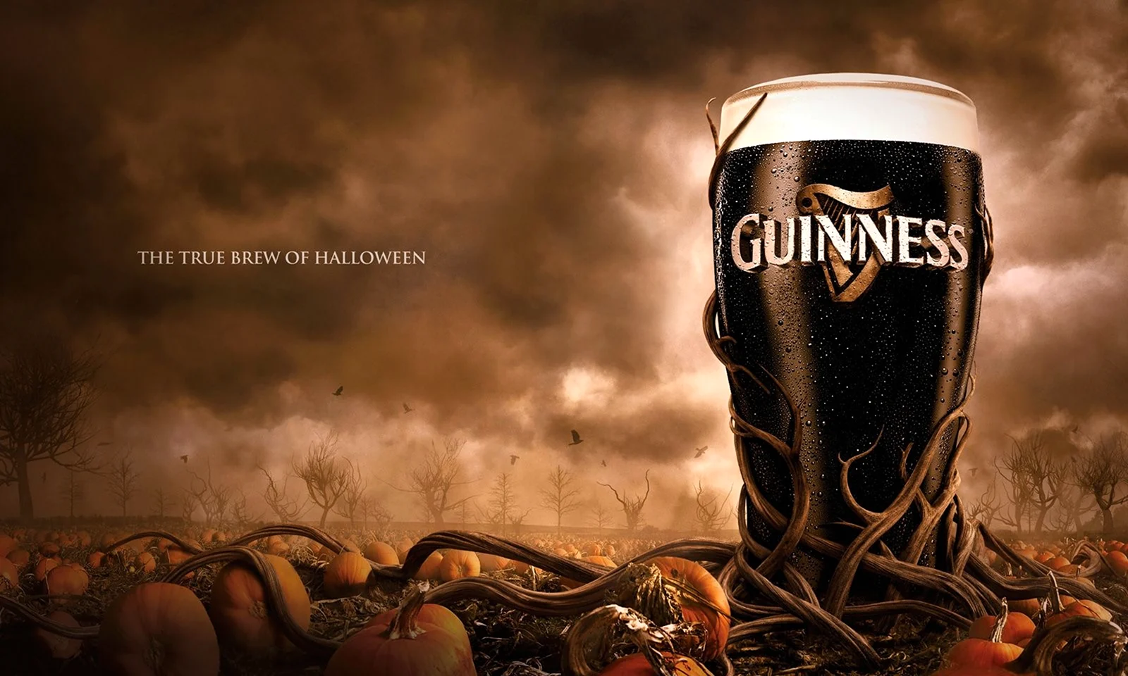 Ирландское пиво Guinness реклама