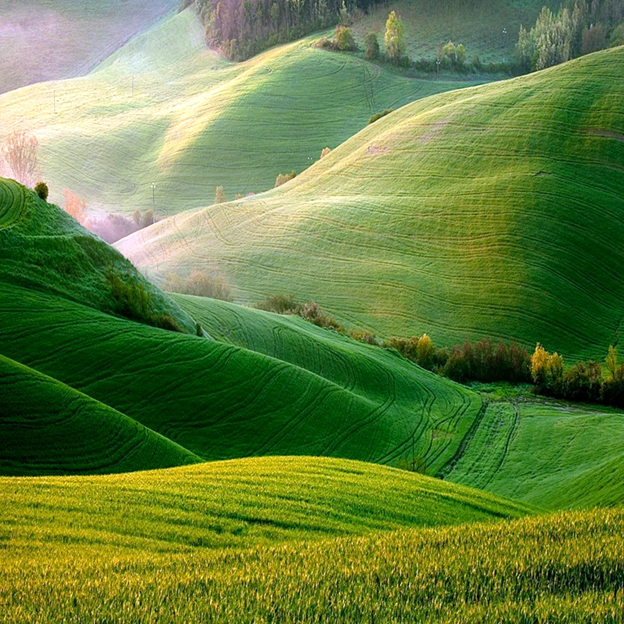 Италия зеленые поля Тосканы