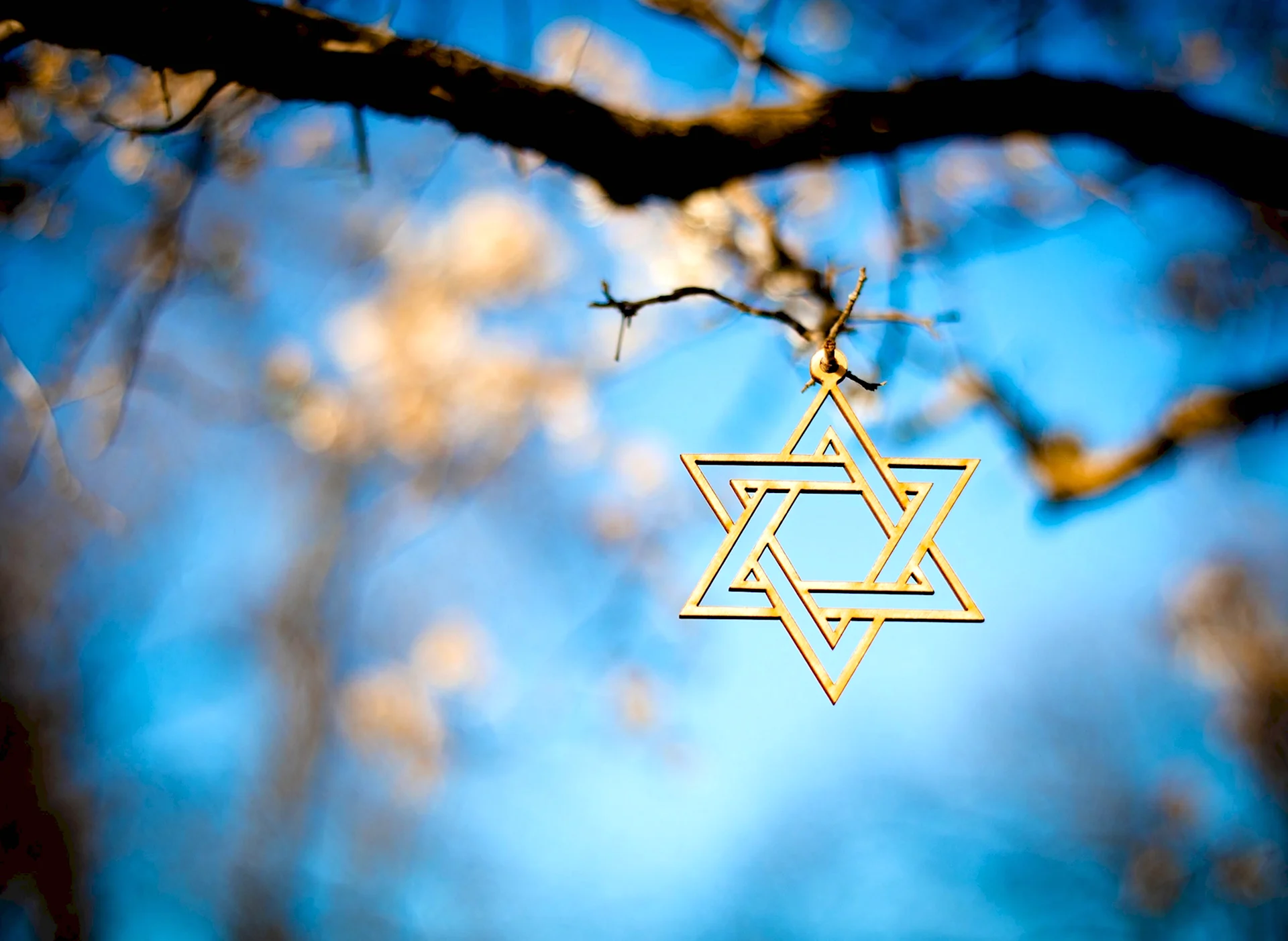 Иудаизм синагога звезда Давида