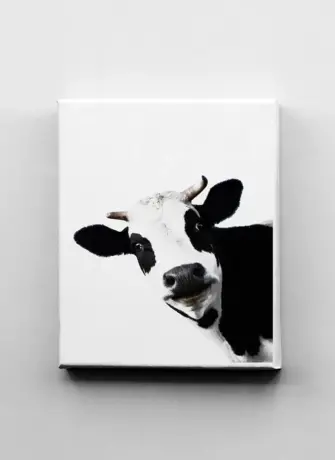 Картина с черно белым коровьим принтом