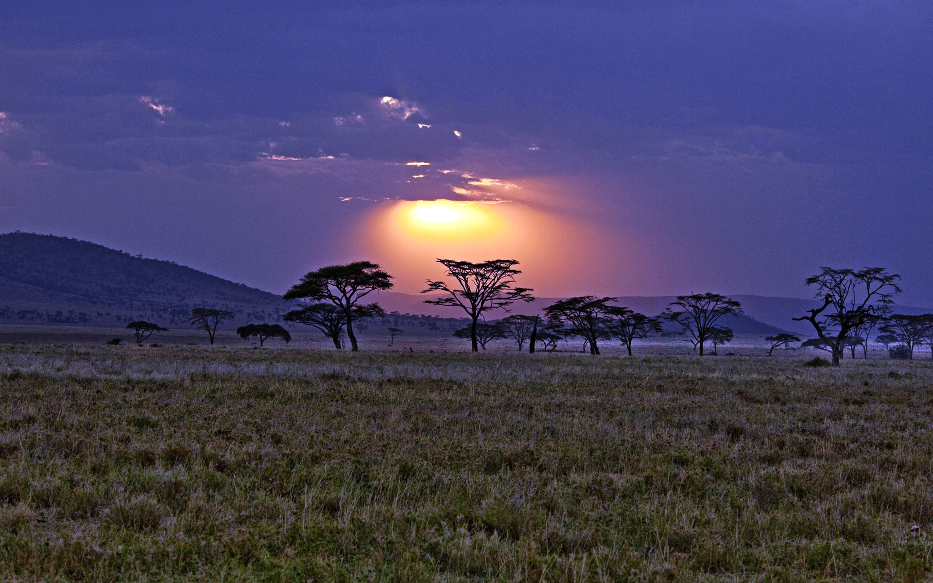 Кенийская Саванна близ Килиманджаро