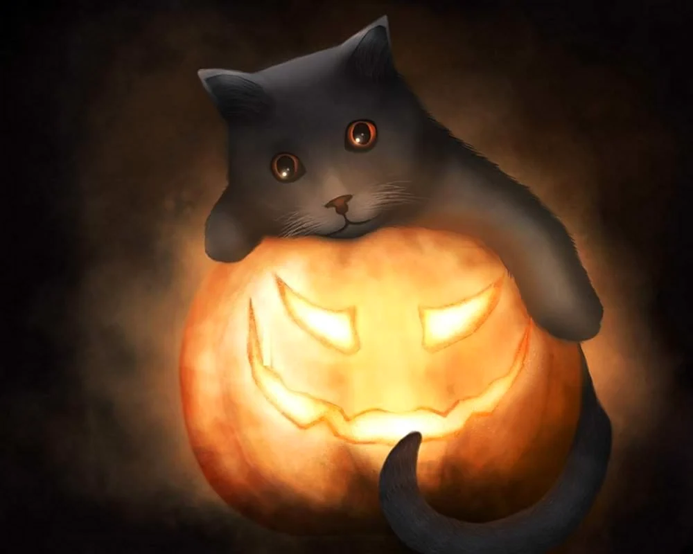Хэллоуинский кот