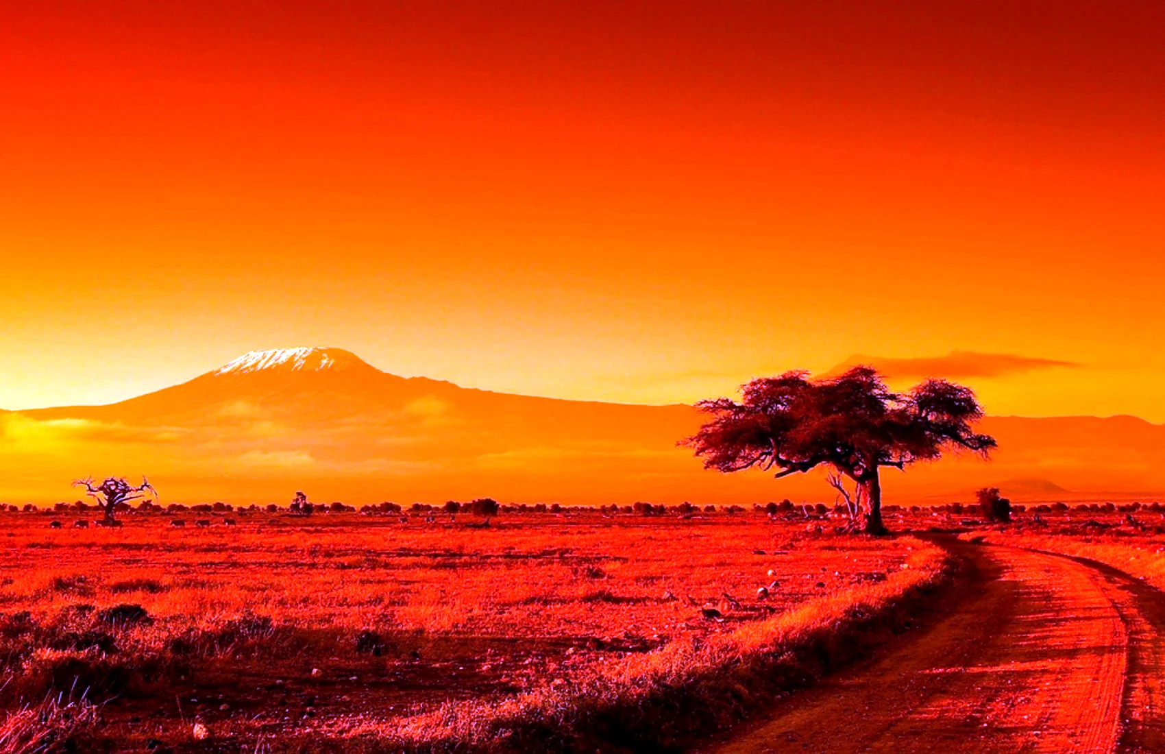 Килиманджаро закат