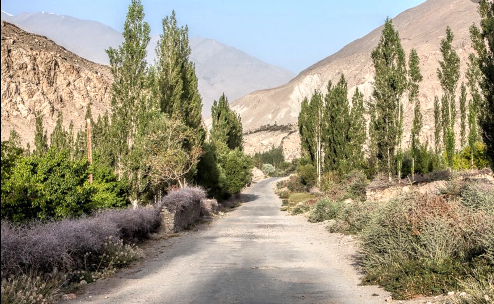Кишлак Шидз Таджикистан