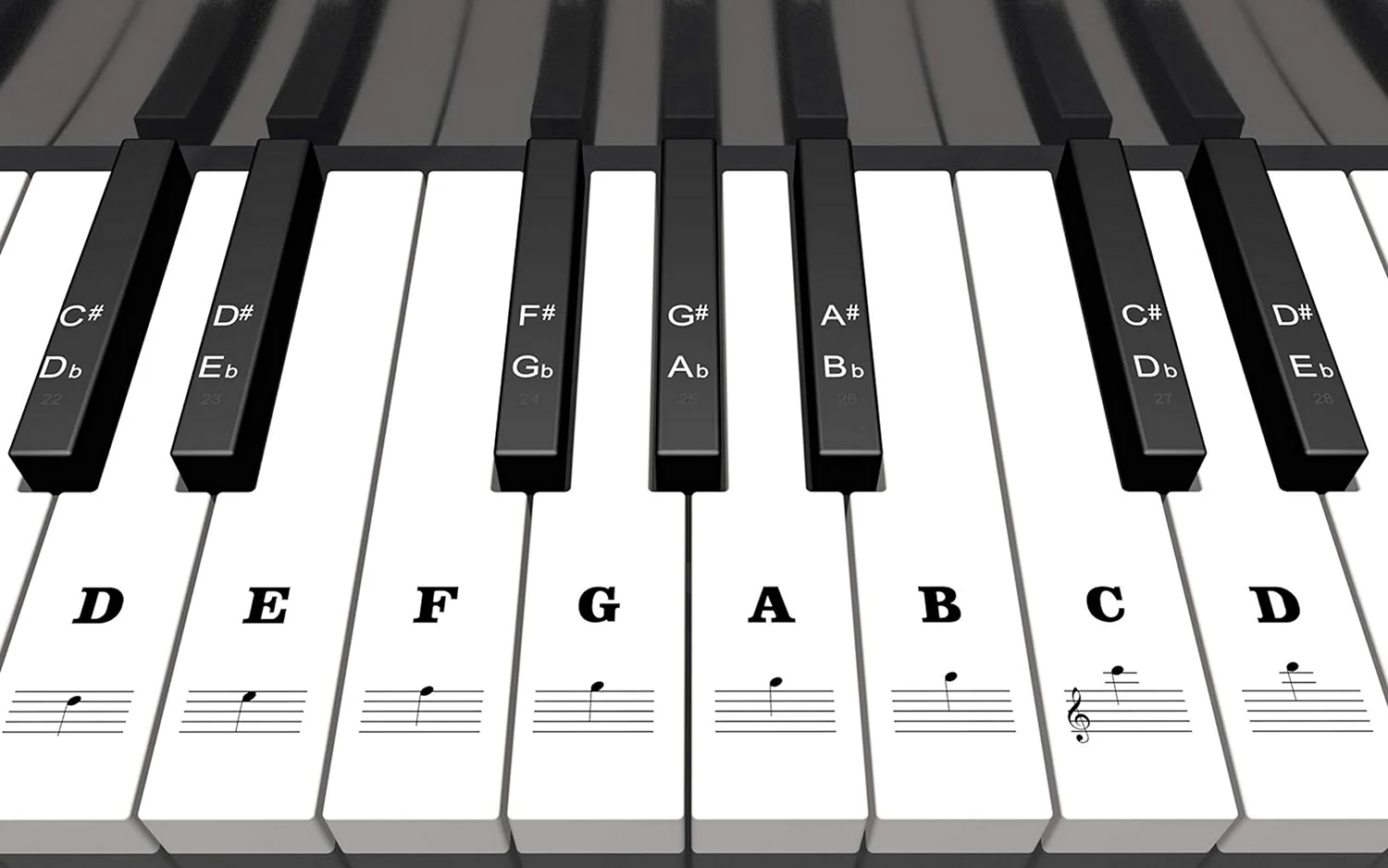 Клавиатура фортепиано в натуральную величину