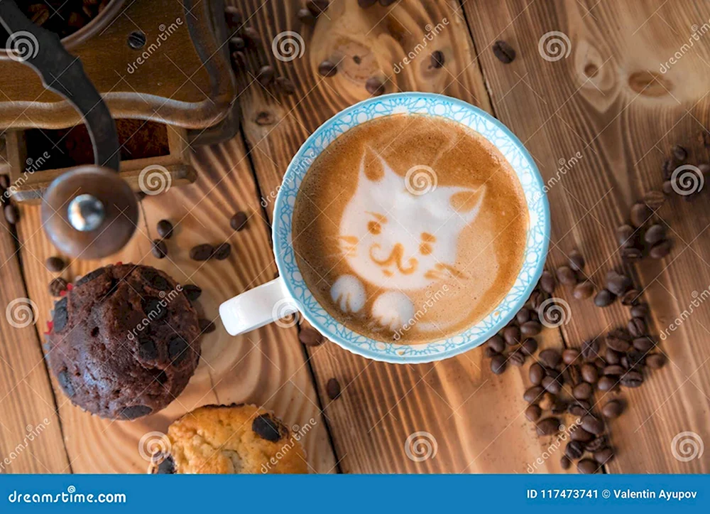 Кофе и коты художественно фото