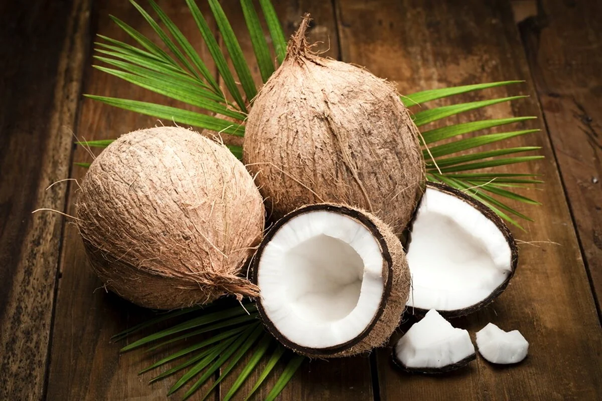 Коконат Coconut