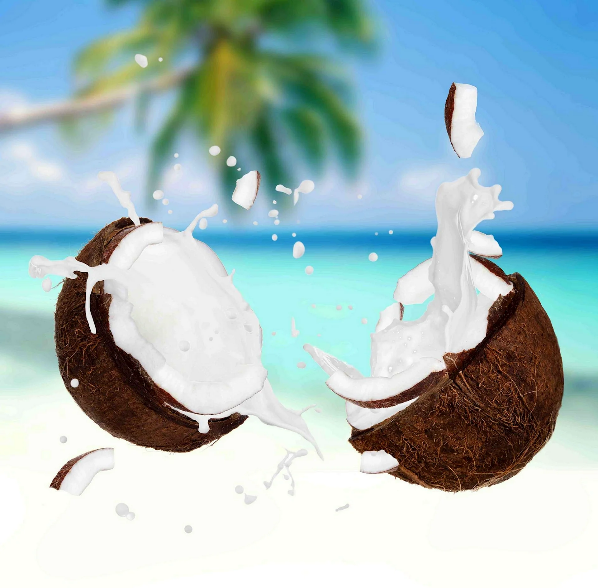 Кокосовое молоко из кокоса на пляже