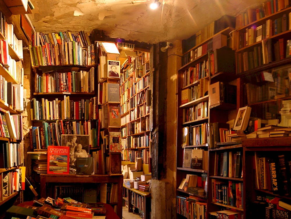 Комната с множеством книг