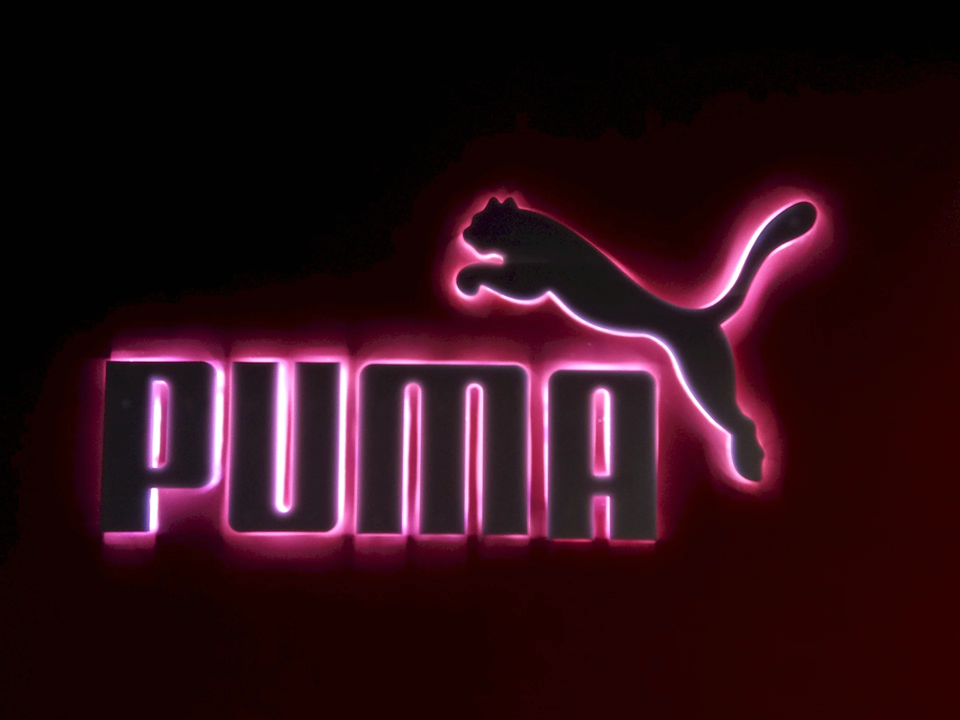 Компания Пума