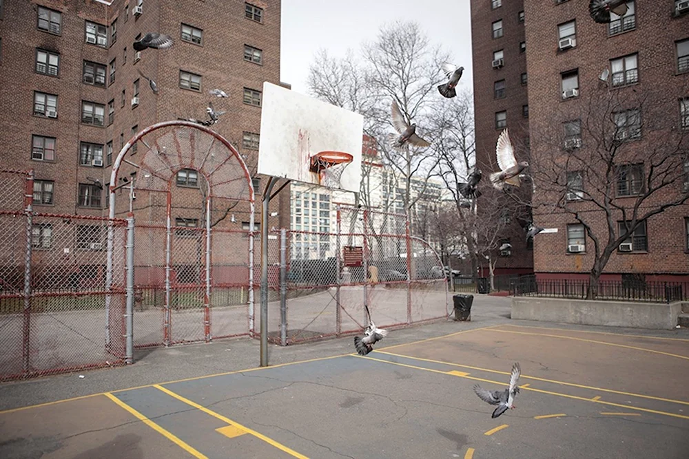 Комптон гетто баскетбольная площадка