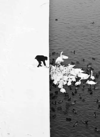 Контрастные чёрно белые снимки