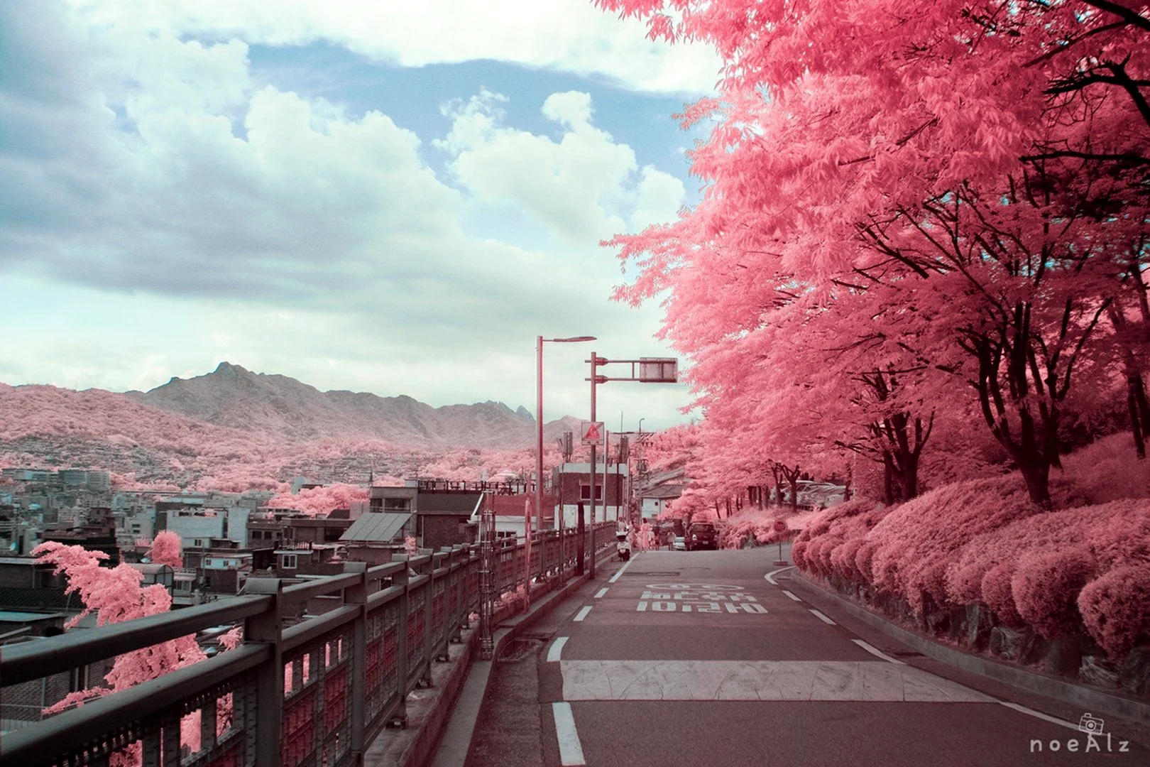 Корея розовый
