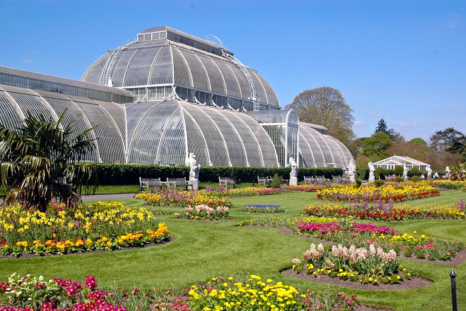 Королевские Ботанические сады Кью Лондон Великобритания