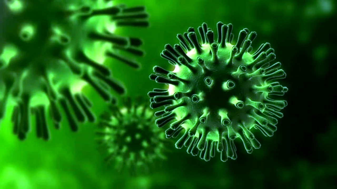 Коронавирус бактерия