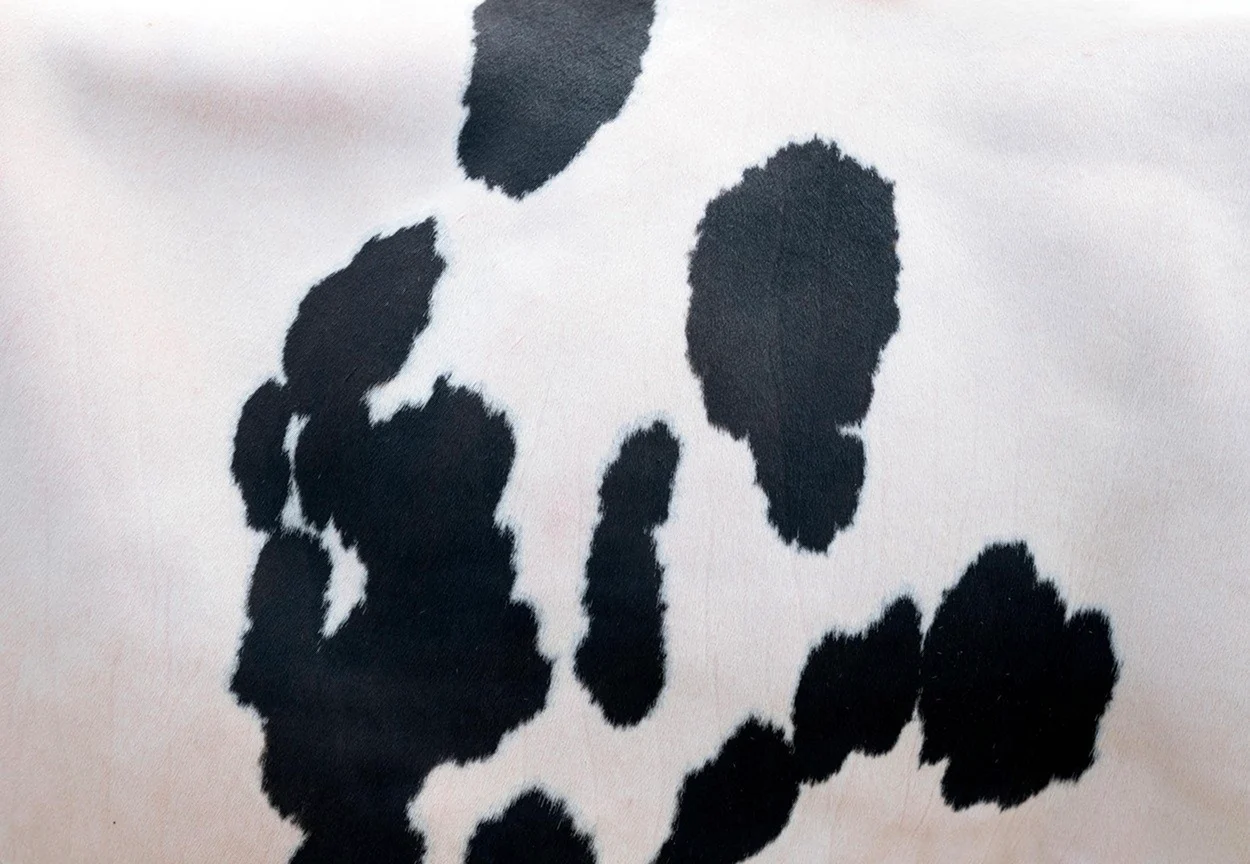 Корова в черных пятнах