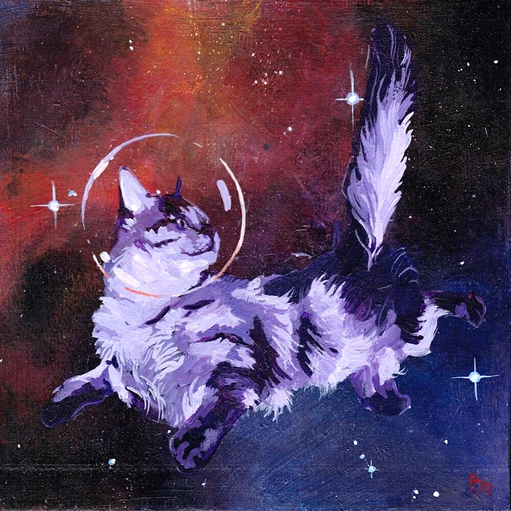 Космическая кошка