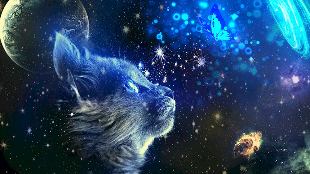 Космический кот