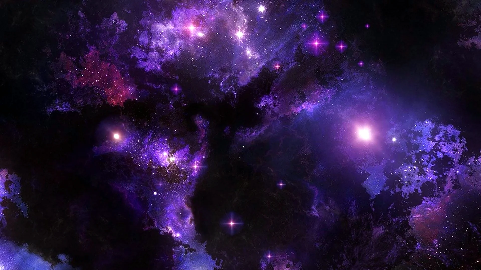 Космос фиолетовый Сакура