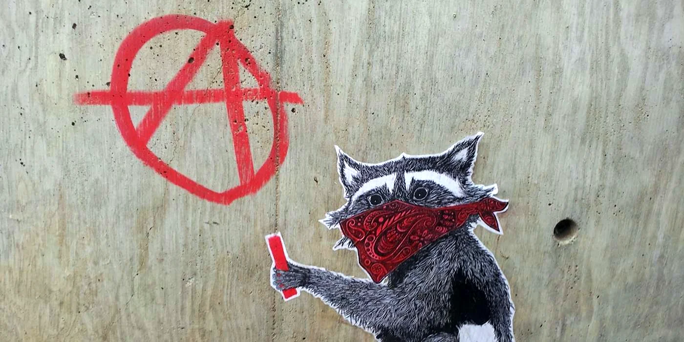 Кот анархист