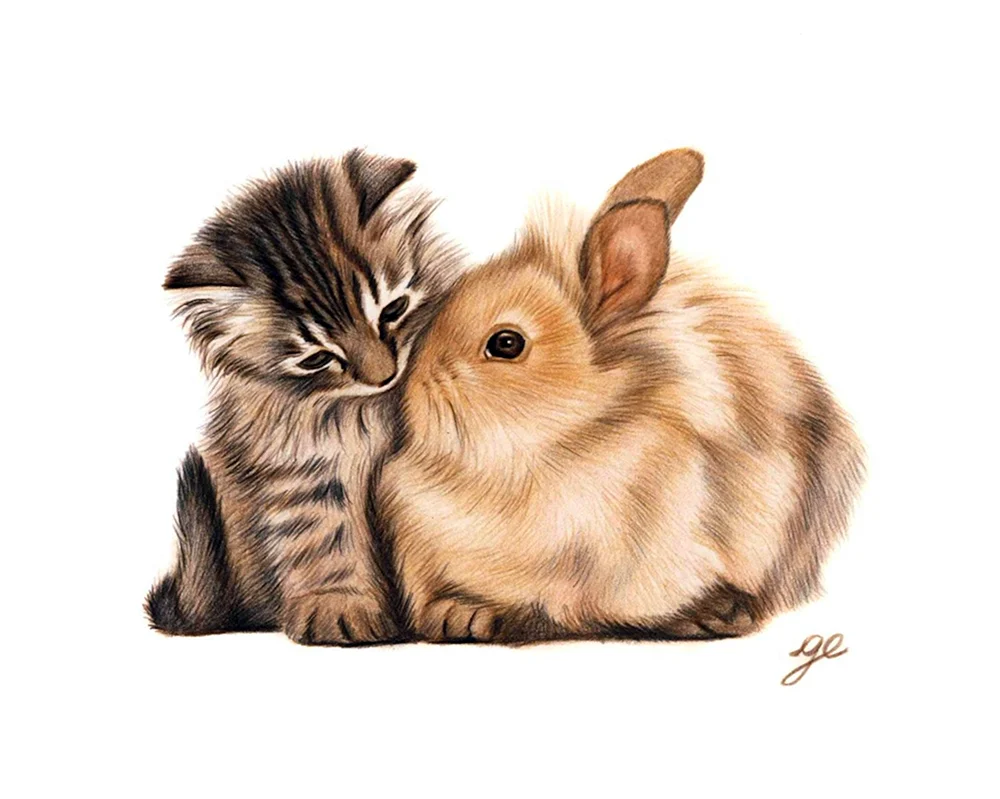 Кот и кролик рисунок карандашом
