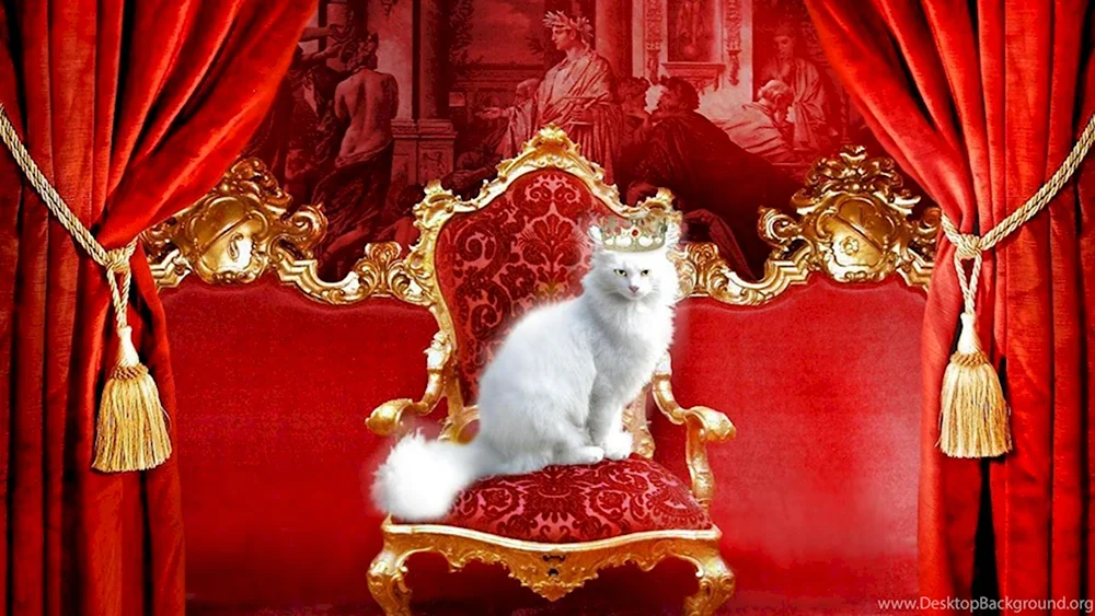 Кот на троне