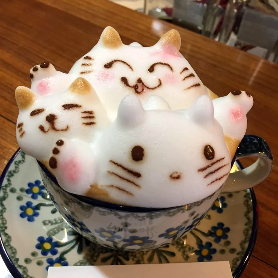 Котик из кофейной пены