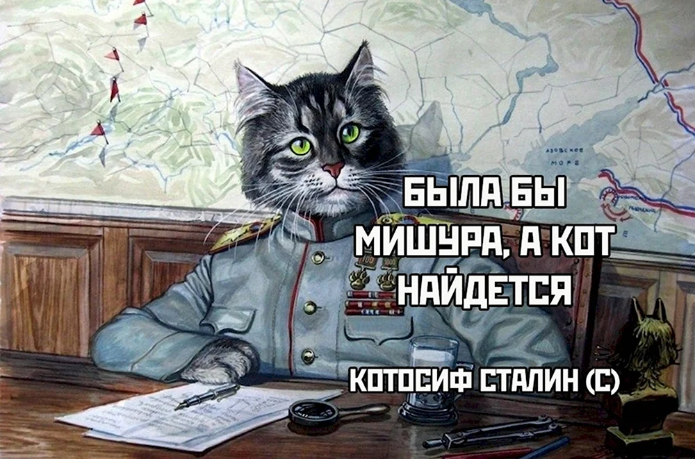 Коты Александра Завалий