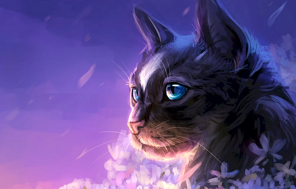 Коты с фиолетовыми глазами для ДС