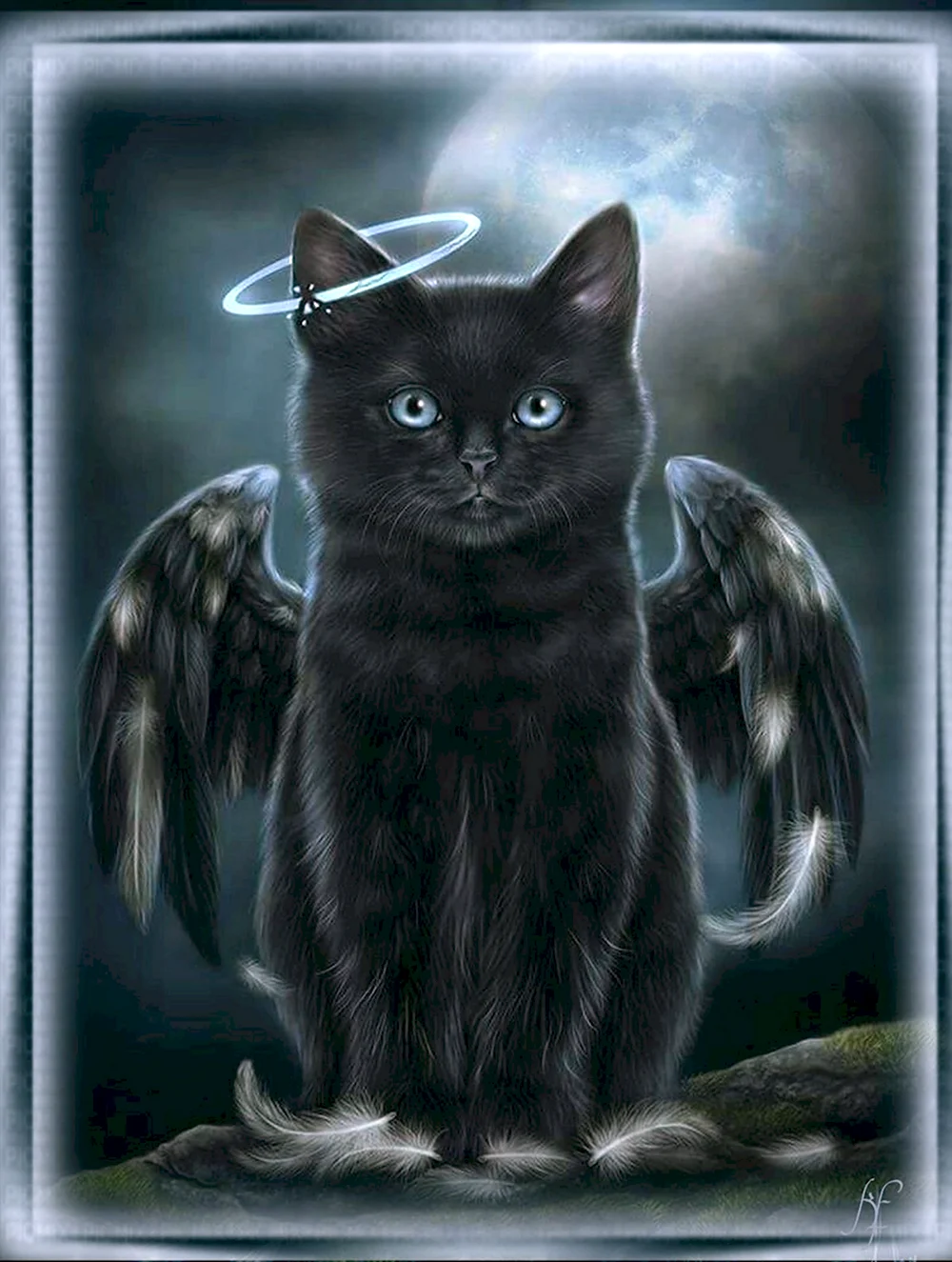 Коты Воители чёрная кошка