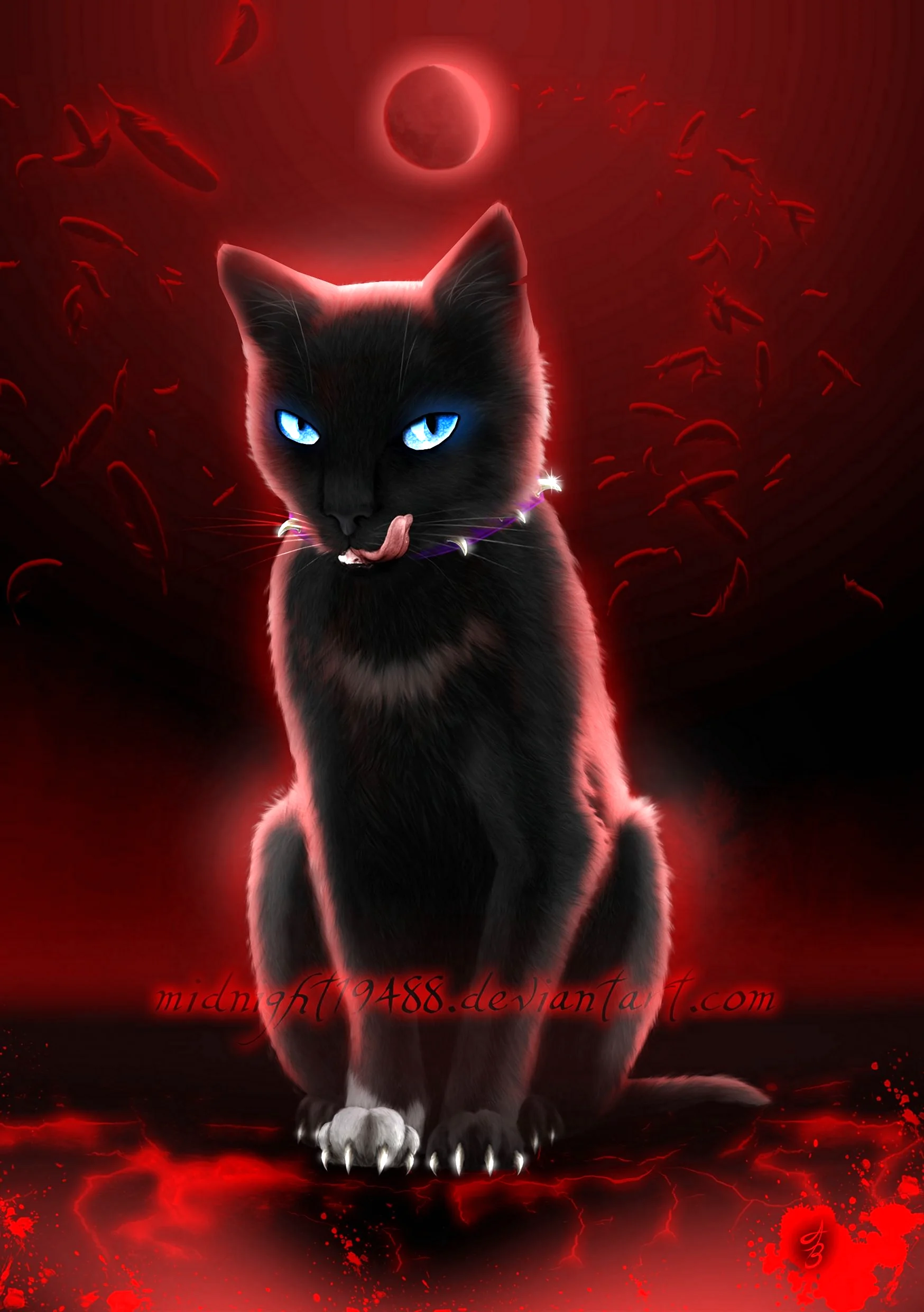 Коты Воители чёрный кот с красными глазами
