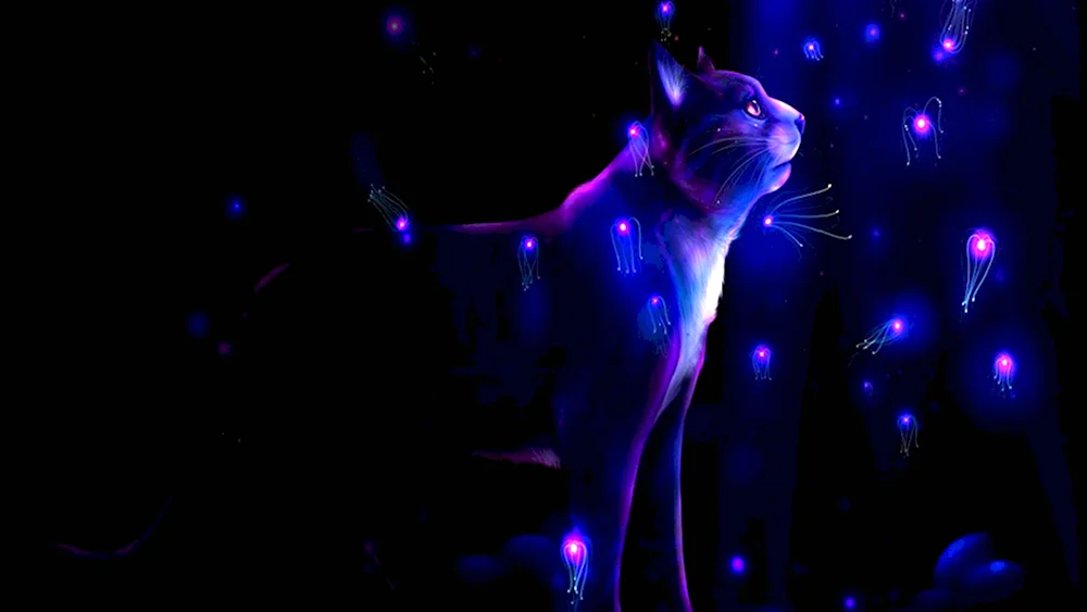 Коты Воители фиолетовая звезда