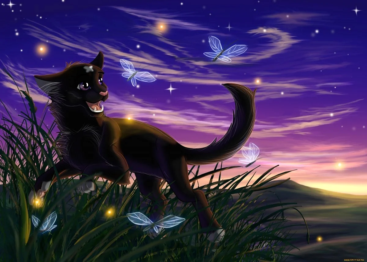 Коты Воители ночная звезда