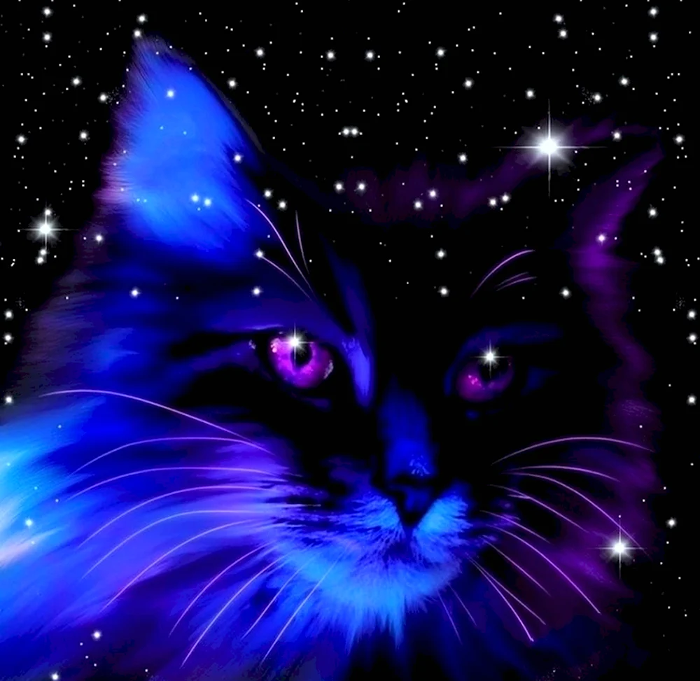 Коты Воители ночная звезда
