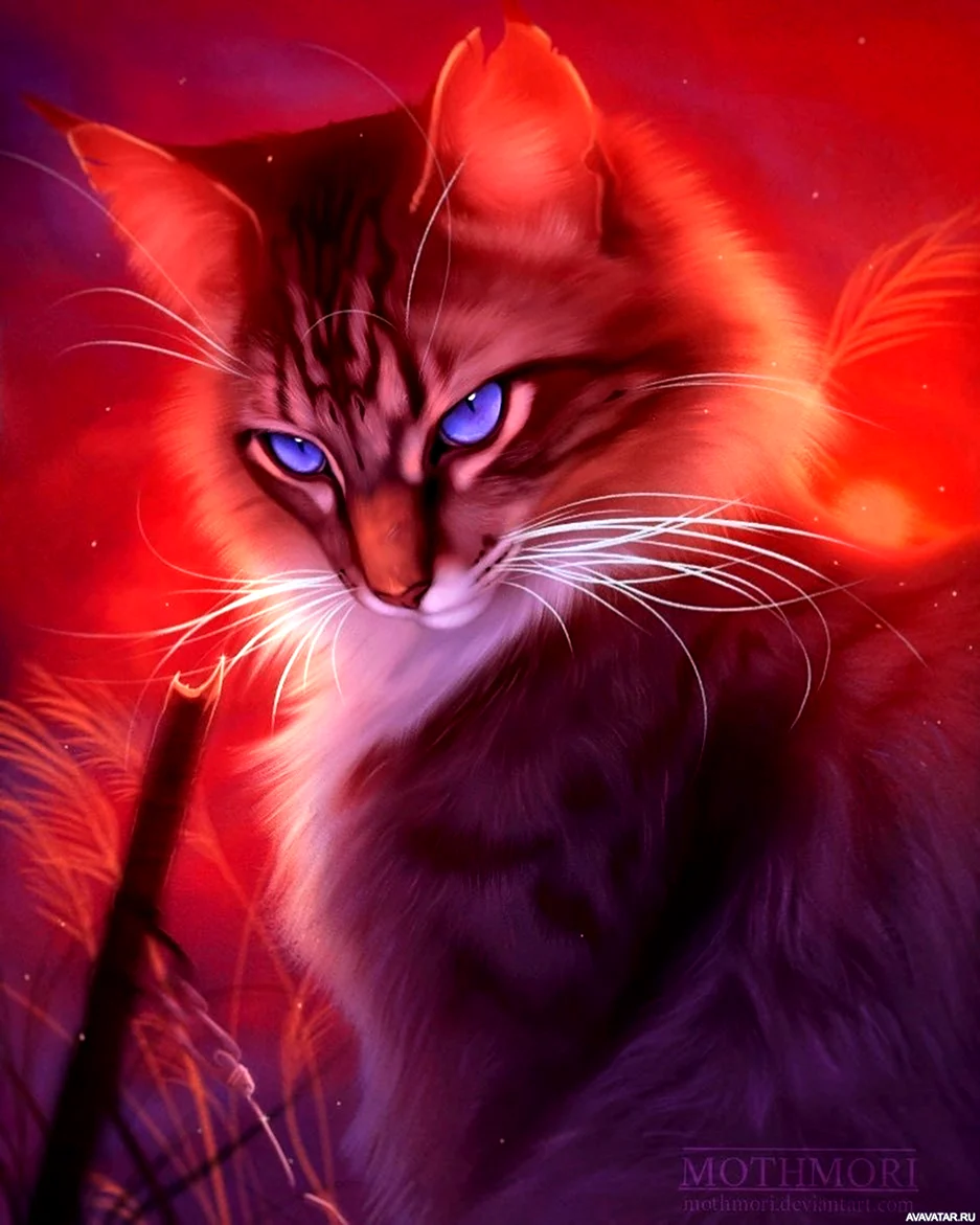 Коты Воители рыжий кот