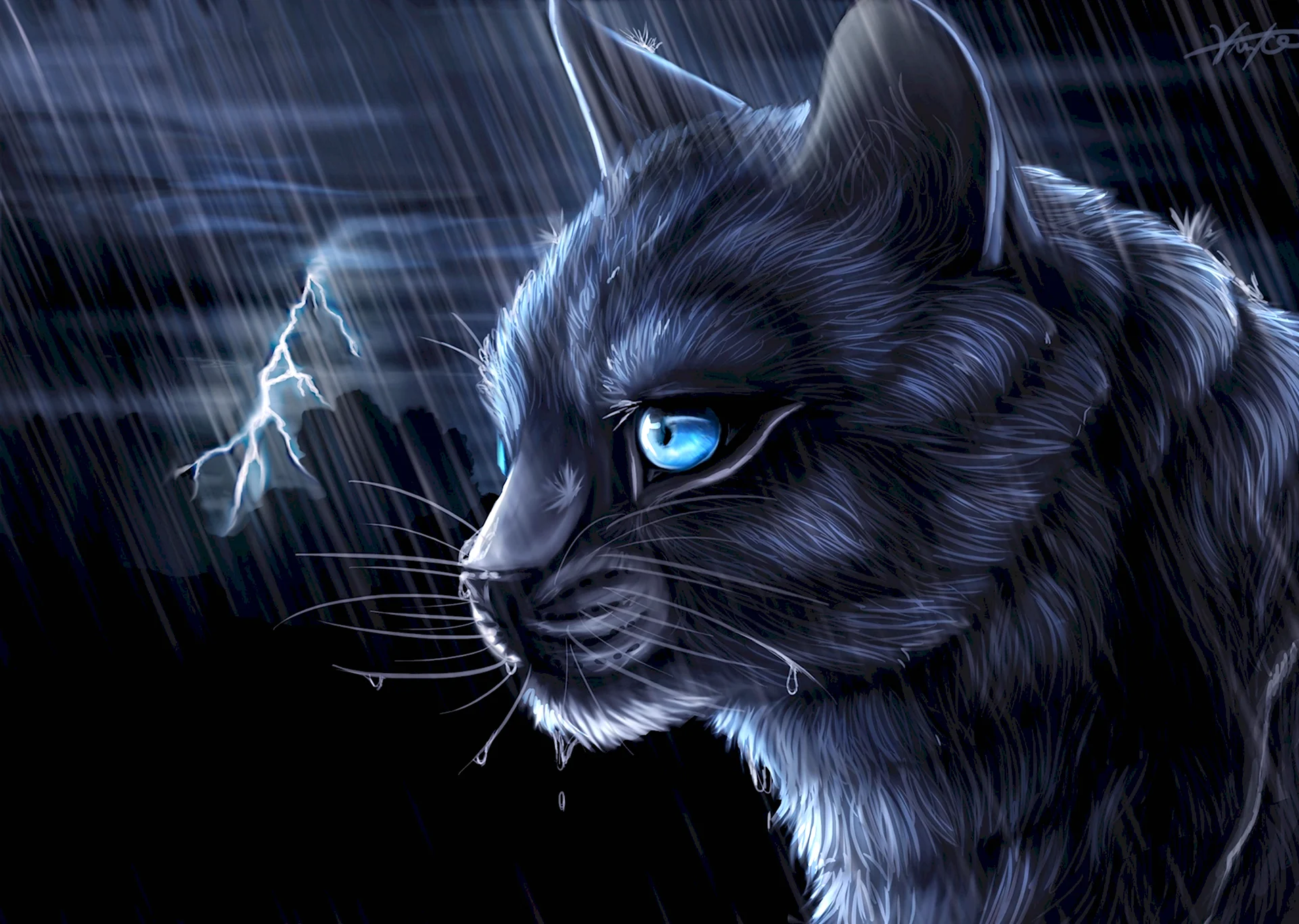 Коты Воители серый кот с голубыми глазами