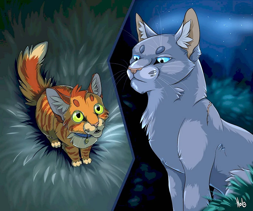 Коты Воители синяя звезда и Огнезвезд