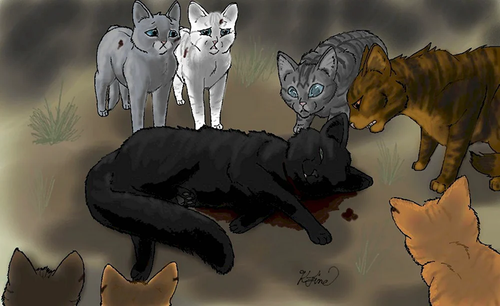 Коты Воители смерть Остролистой