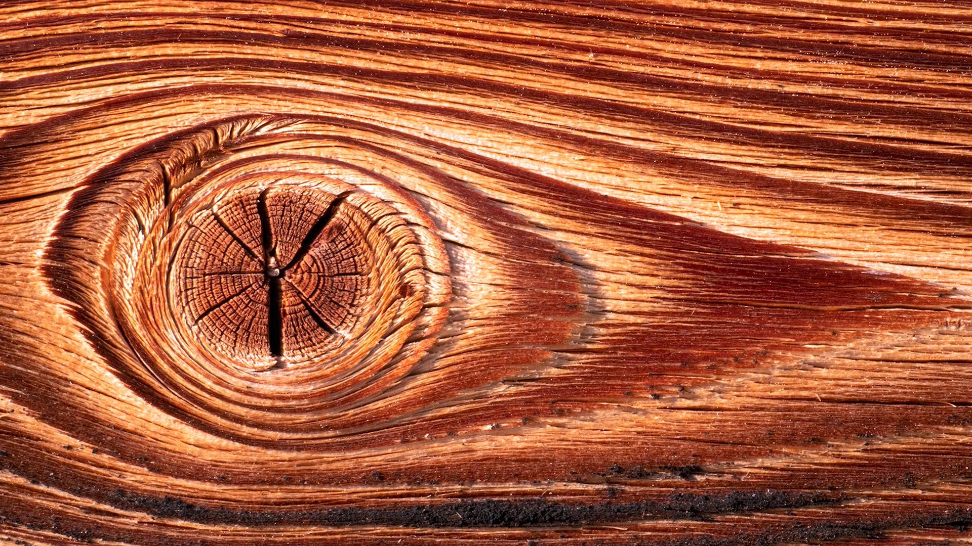 Красивая древесина