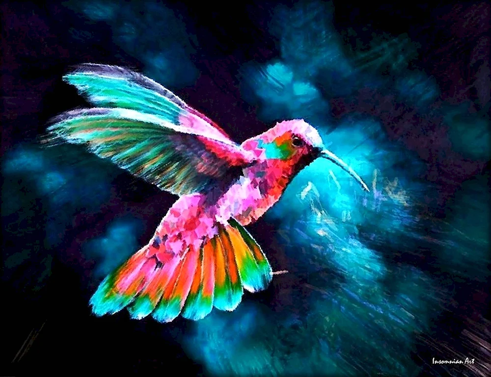 Красивые яркие птицы арт