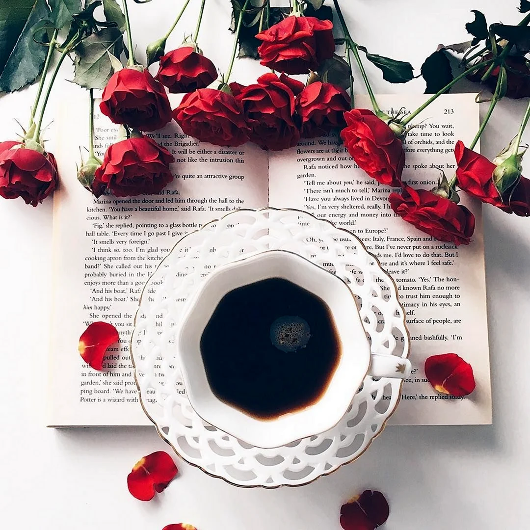 Красивые розы кофе книги